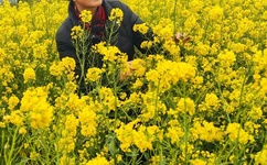 羞羞漫画网站漫画入口官方